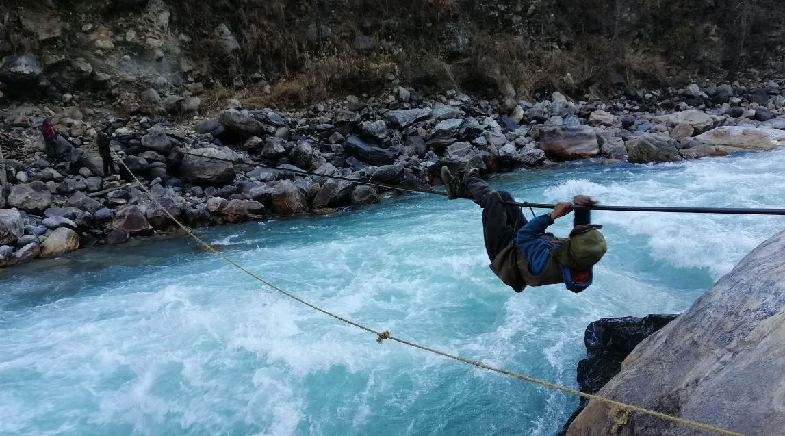 कर्णालीमा छन ५५ ओटा तुईन, विस्थापन गर्ने प्रकृया सुरु